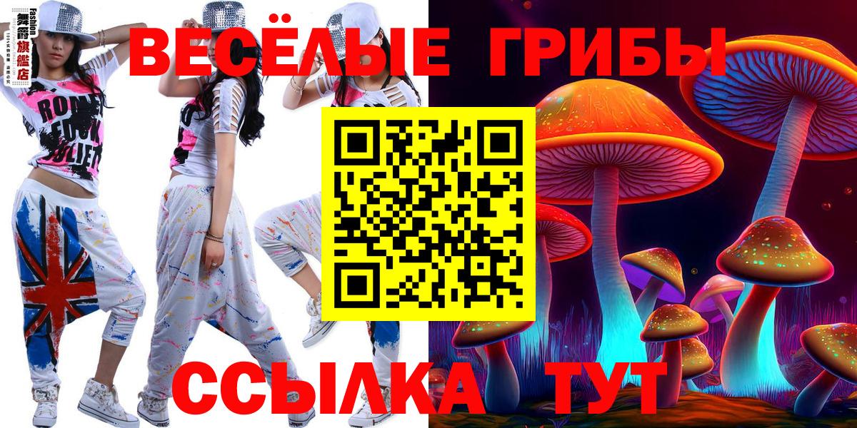 Галлюциногенные грибы Psilocybe  Вход с VPN  Псилоцибиновые грибы Psilocybine cubensis  Кисловодск 